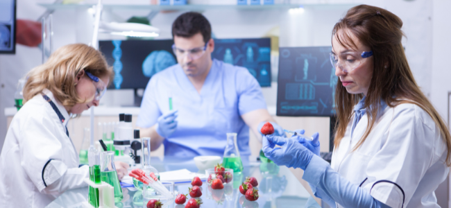Científicos en un laboratorio realizando pruebas de calidad en fresas, como parte del control de pH en la industria alimentaria